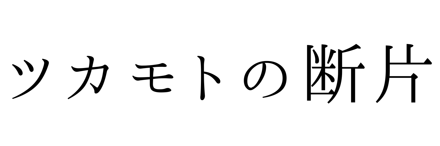 ツカモトの断片